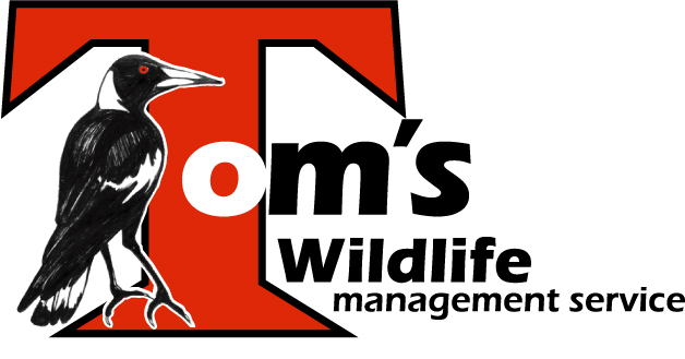 toms-wildlife-service-logo