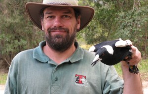 Tom in action with a Magpie